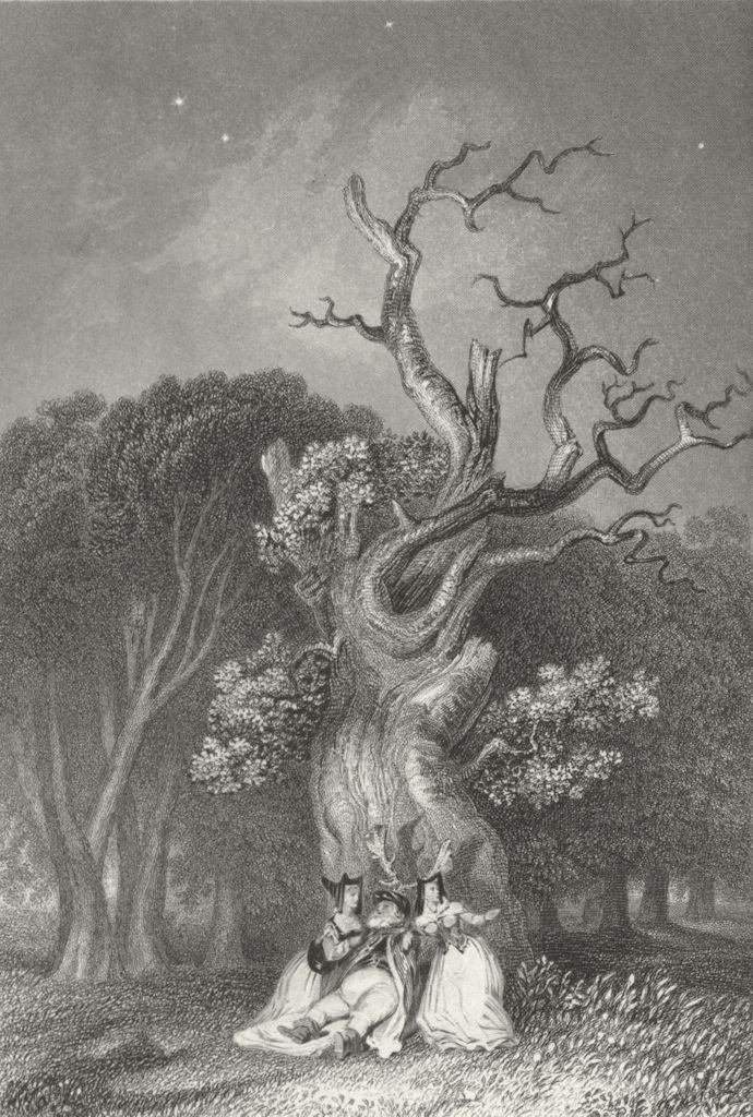 BERKS. Herne's Oak. Windsor Park. Sargent 1854 old antique print picture